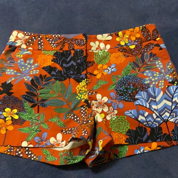 LOFT Pants - Loft Shorts